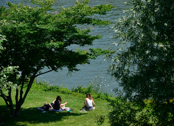 Berges de Seine