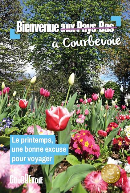 Tulipes de Courbevoie