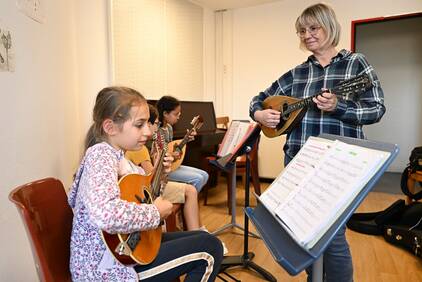 Pratiques collectives d'un instrument à cordes pincées