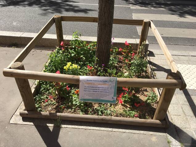 Photo d'un pied d'arbre entouré par barrières