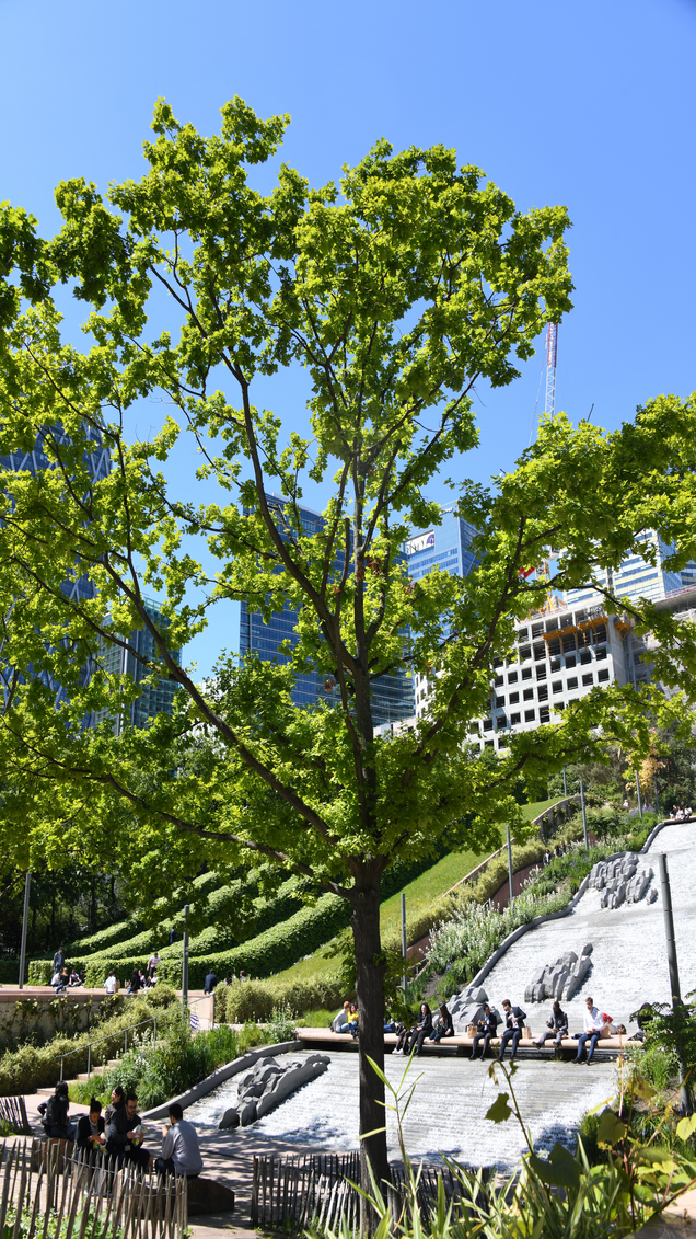 Chasse aux œufs à Courbevoie - parc Diderot