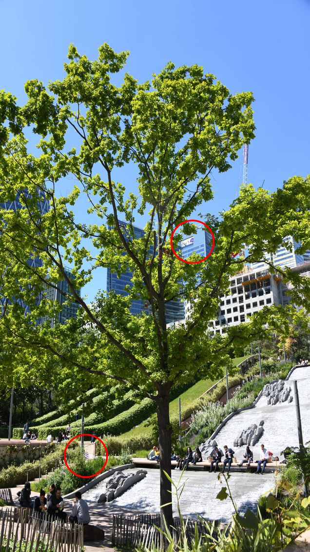 Réponse chasse aux œufs à Courbevoie - parc Diderot