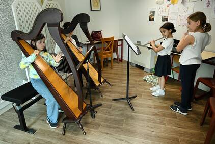 Pratiques collectives de la harpe