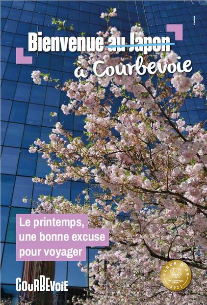 Des sakuras à Courbevoie