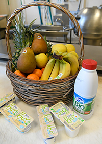 Photo d'un panier de fruits et de produits laitiers aux crèches vertes